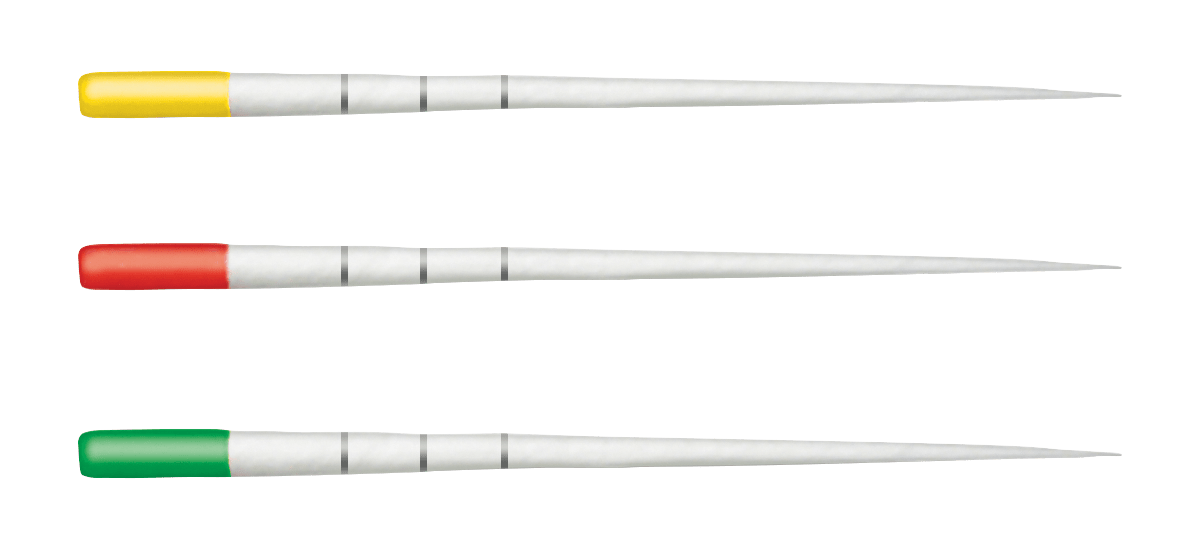 Trunatomy Paper Points