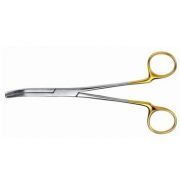 CARL MARTIN KROONAFNEEMTANG GOLD