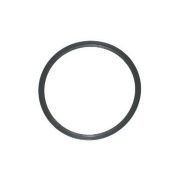 W&H DEURRING VOOR AUTOCLAVE LISA