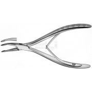 CARL MARTIN KNABBELTANG 1829