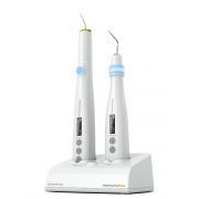 ELEMENTS IC OBTURATION SYSTEEM