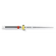 DENTSPLY PROFILE .04 25MM ASSORTI