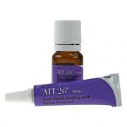 DENTSPLY AH26 MET ZILVER