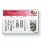 DENTSPLY RADIX ANKER STIFTEN
