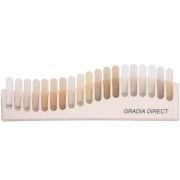 GC GRADIA DIRECT KLEURENSTAAL
