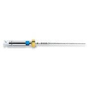 DENTSPLY PROFILE .02 25MM ASSORTI