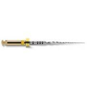 DENTSPLY PROTAPER NEXT 19MM XA