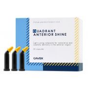 CAVEX QUADRANT ANTERIOR SHINE I